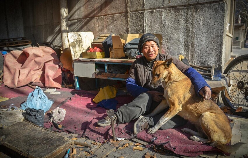 忠犬每天推残疾主人去摆摊 天冷时帮其暖脚