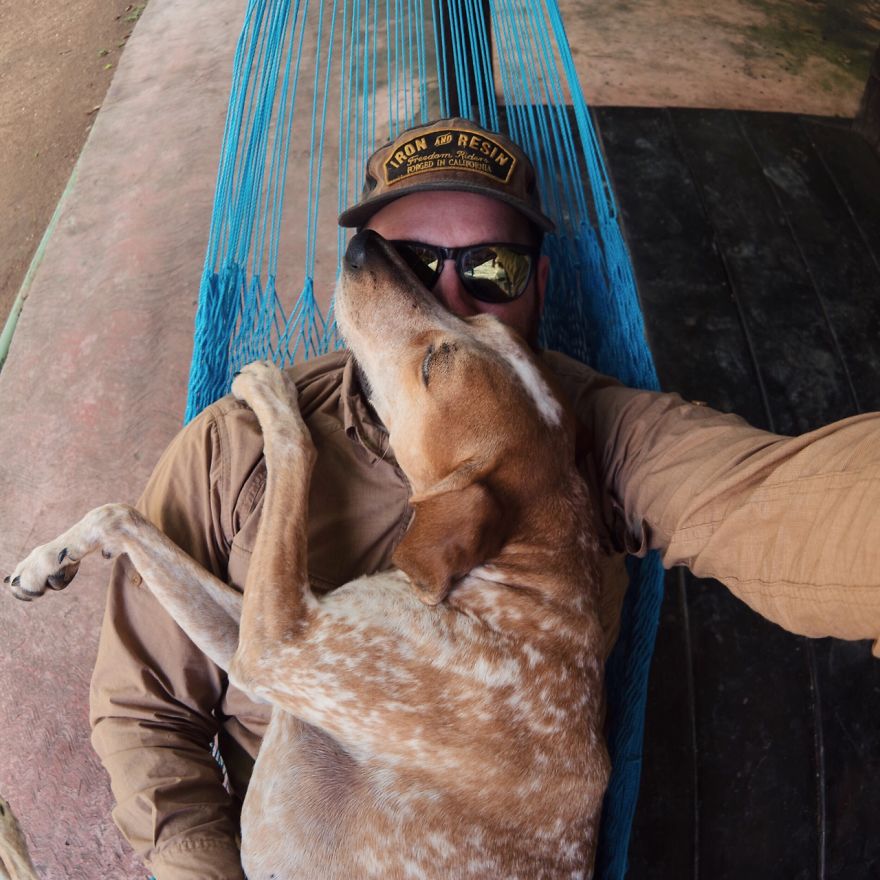 麦迪的事情：摄影师带着他的营救犬麦迪自驾横跨美国走红