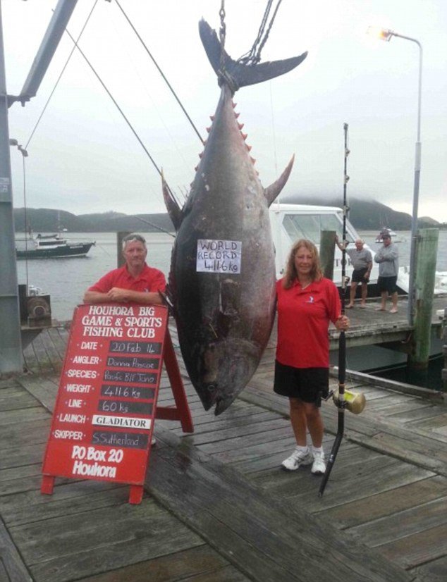 新西兰56岁女子钓到823斤蓝鳍金枪鱼 