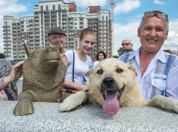 洪水淹没家园 忠犬死守家门不离不弃感动世界