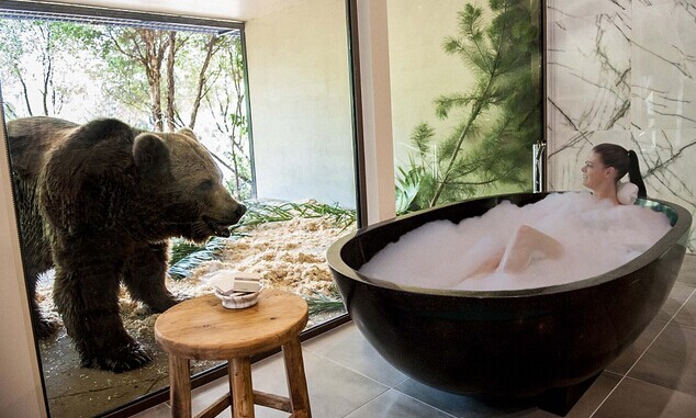与熊洗澡与狮子吃晚饭：澳大利亚度假胜地兼作动物园