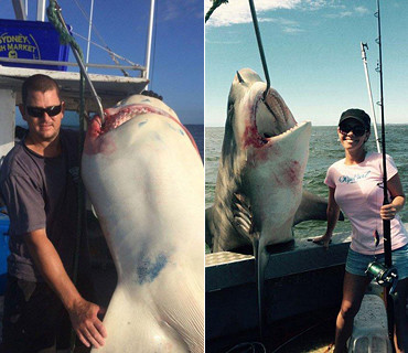澳洲情侣捕获200公斤公牛鲨 被讥讽为“凶手”