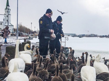 冰岛警察部门与当地人互动照片在Instagram走红