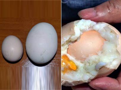 罕见巨型鸡蛋蛋中有蛋 重半斤比鹅蛋还要大