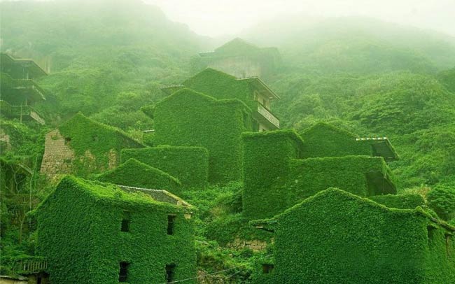 浙江荒村小岛被绿植侵袭 宛如童话世界