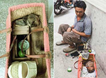 越南无家可归擦鞋者和他的小盲人朋友