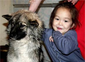 没有这只狗狗 5岁小女孩不可能在西伯利亚森林存活