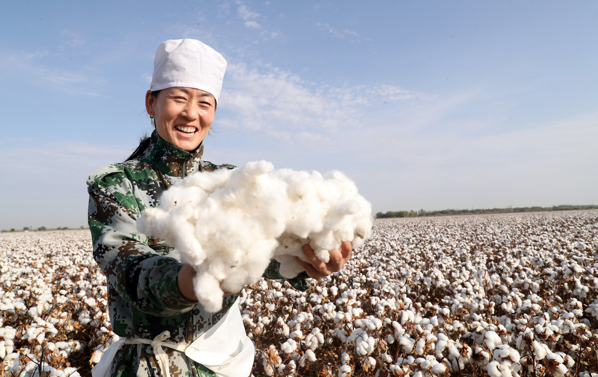 HM耐克阿迪等国外品牌为什么抵制新疆棉花 答案在背后的这个西方组织