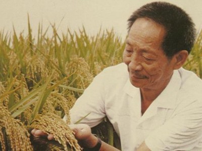 “杂交水稻之父”袁隆平逝世  老人为什么摔了一次后 很快就过世了？