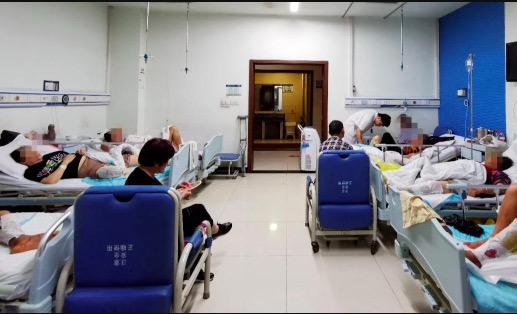 四川宜宾泸州多人被毒蛇咬伤 医院病房被毒蛇咬伤病人扎推